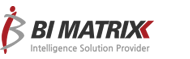 bimatrix_logo.png